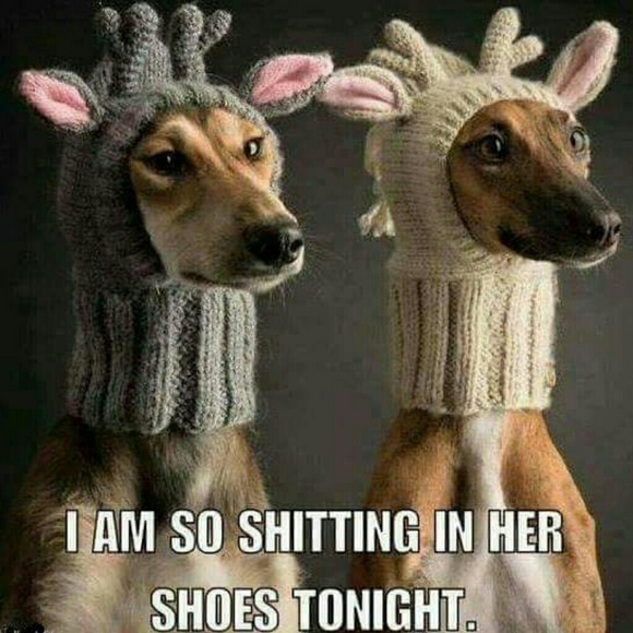 Meet your Posher, Richard - Picture 2 of 2